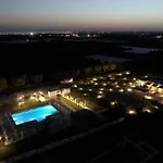 L'ulivo E La Stella