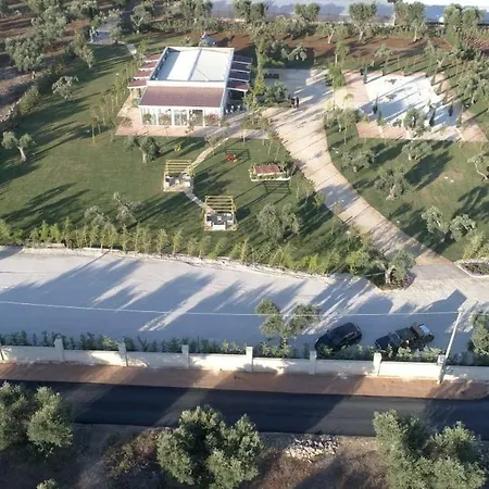 L'ulivo E La Stella Affittacamere Porto Cesareo