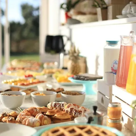 招待所 L'ulivo E La Stella