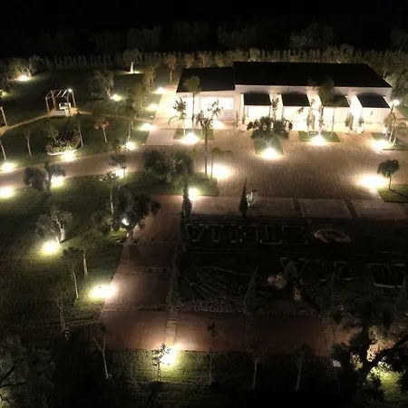 L'ulivo E La Stella 切萨雷奥港