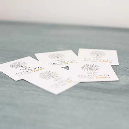 招待所 L'ulivo E La Stella 4*