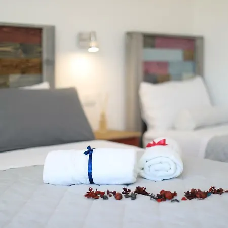 L'ulivo E La Stella 切萨雷奥港