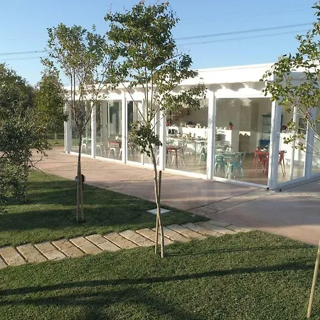 L'ulivo E La Stella Affittacamere Porto Cesareo