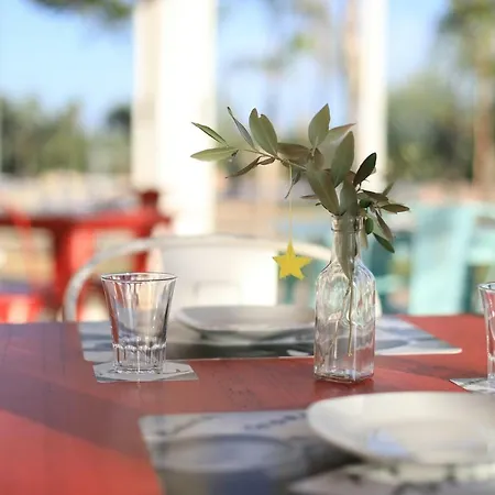 L'ulivo E La Stella 4*