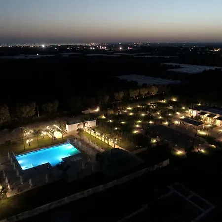 L'ulivo E La Stella